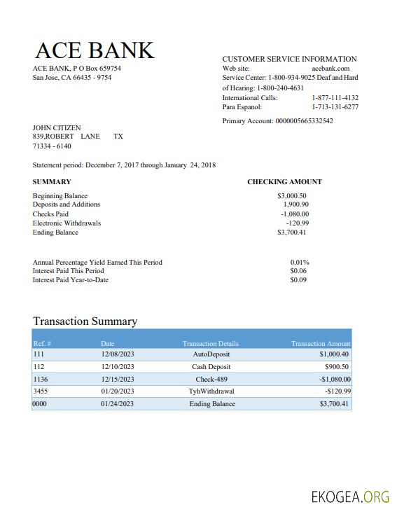 Modèle Word et PDF de relevé bancaire USA ACE template Modèle Word et PDF de relevé bancaire USA ACE template
